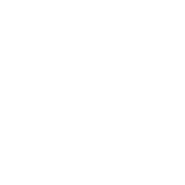 Black Templars