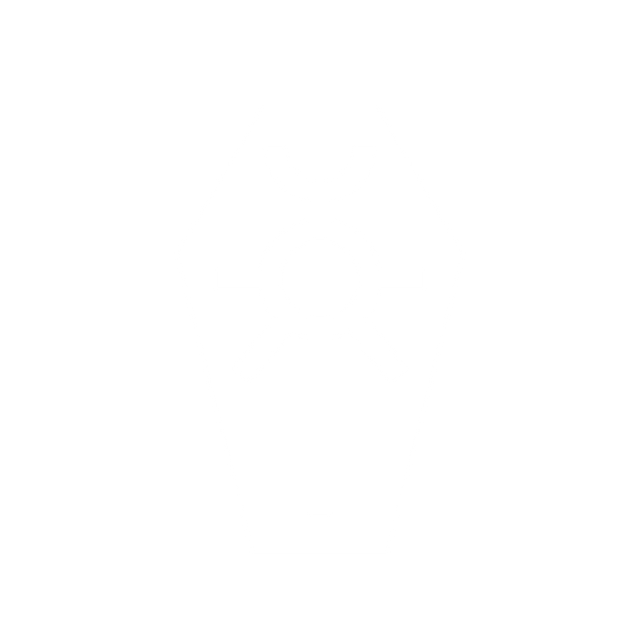 Necrons