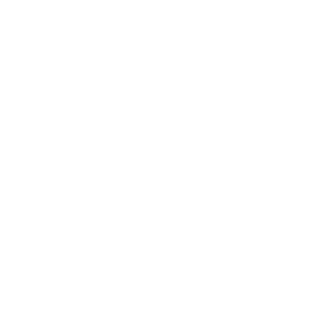 Orks