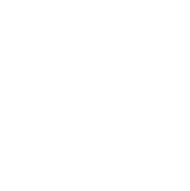 Space Wolves