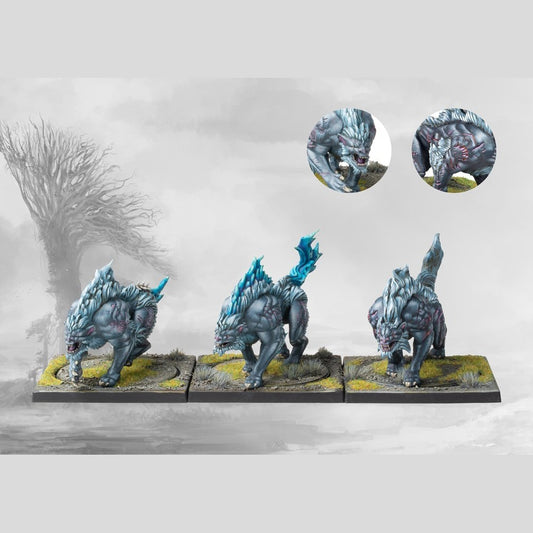 Fenr Beastpack unit box for Conquest The Last Argument of Kings, Nords faction