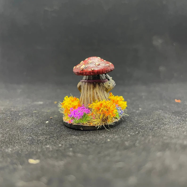 MYCONID COOK