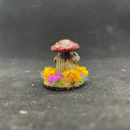 MYCONID COOK