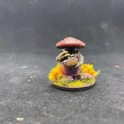 MYCONID COOK