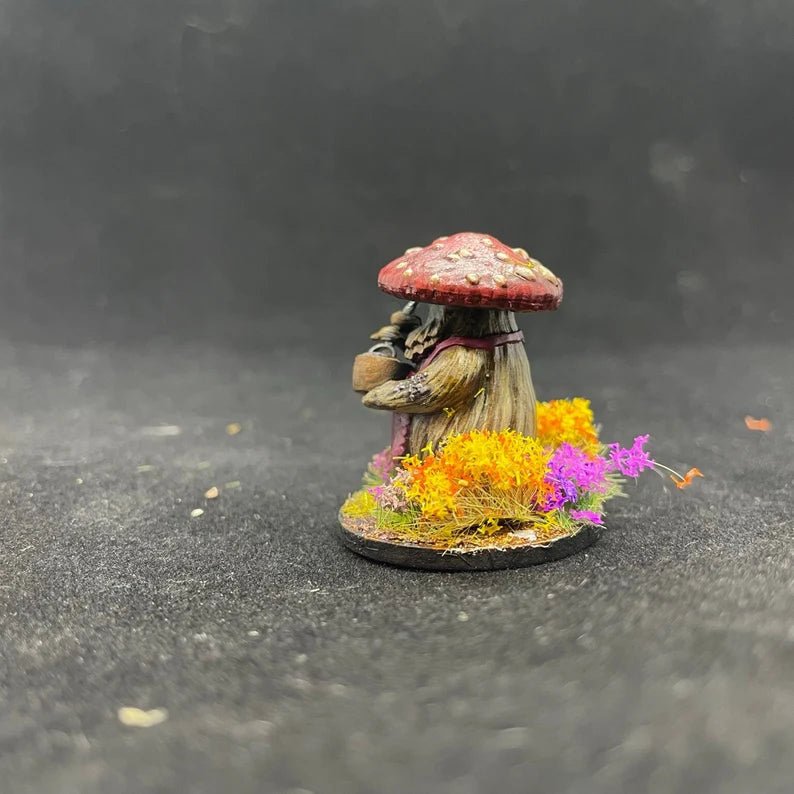 MYCONID COOK