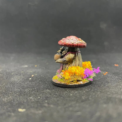 MYCONID COOK