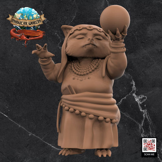 RACCOONFOLK MYSTIC