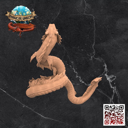 DRACOFISH