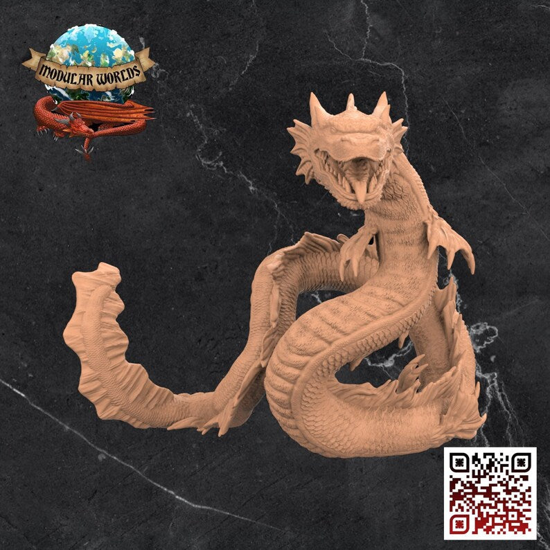 DRACOFISH