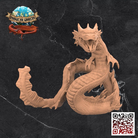 DRACOFISH