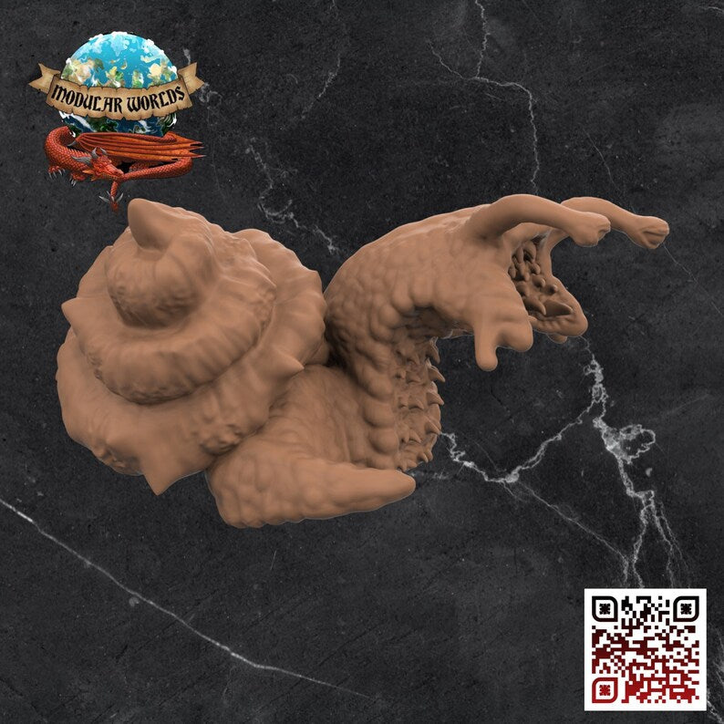GIANT CHITON - GIANT SNAIL