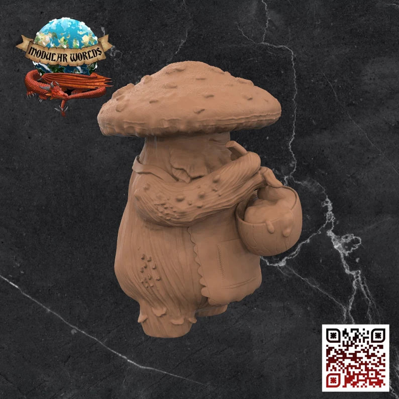 MYCONID COOK