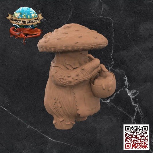 MYCONID COOK