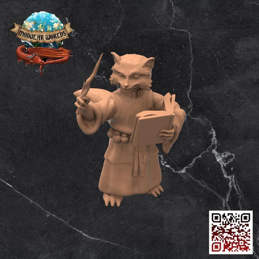 RACCOONFOLK WIZARD