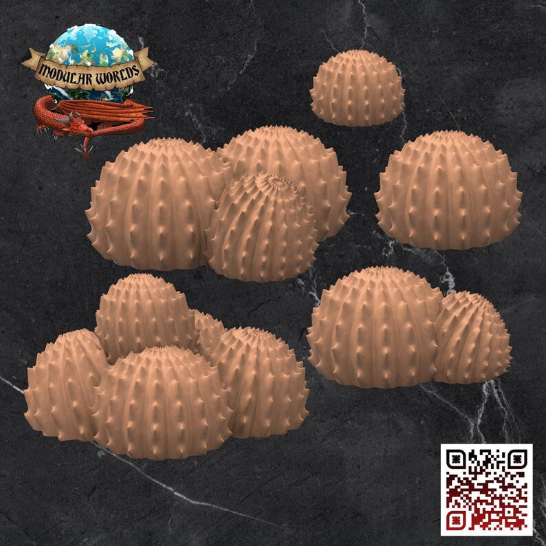 BALL CACTI SET