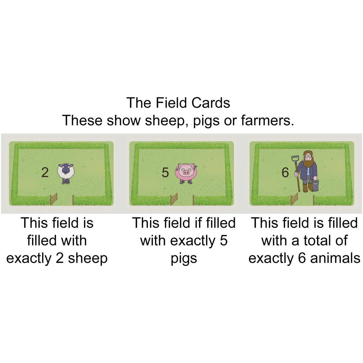 One Sheep, Two Sheep, Many Sheep, second view