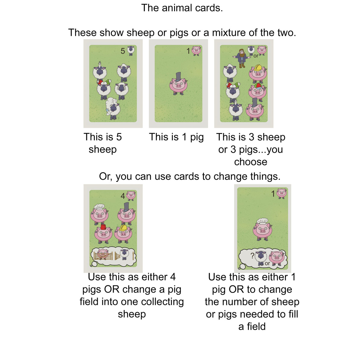 One Sheep, Two Sheep, Many Sheep, third view